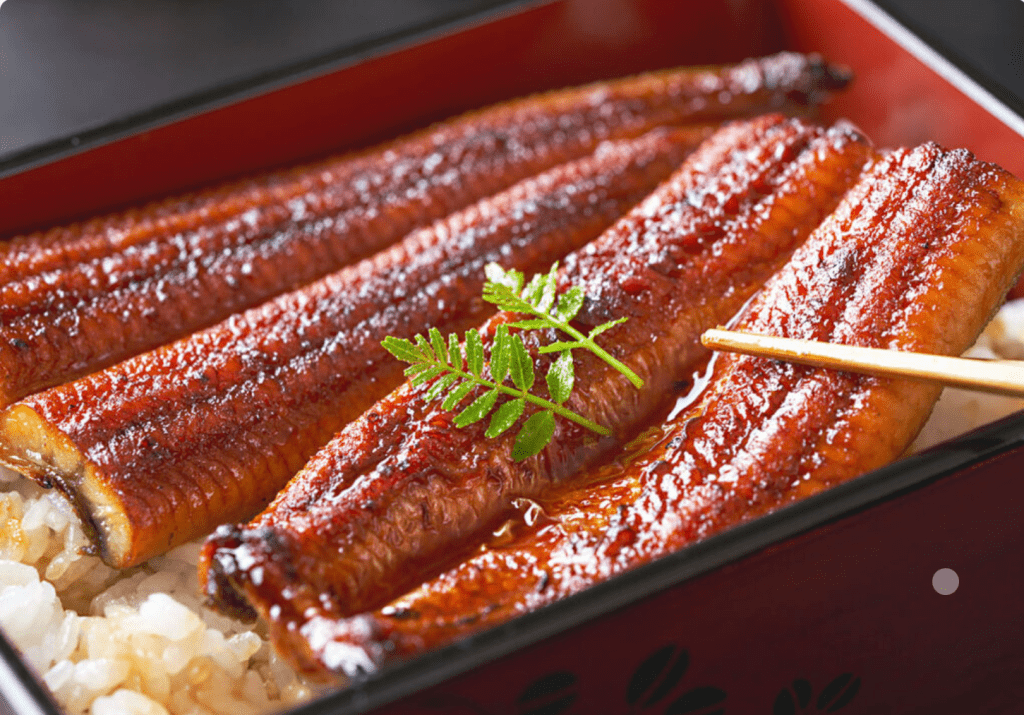 summer food unagi