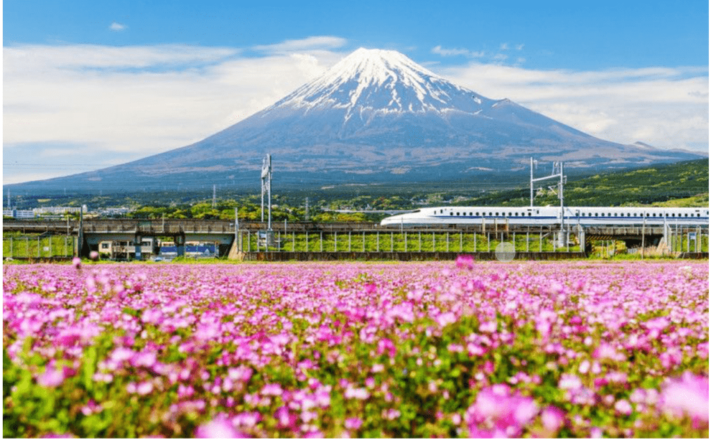 mt. fuji with shinkansen