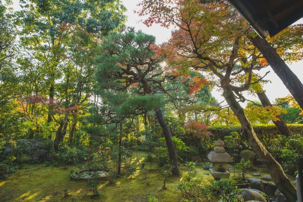 japanese gardens